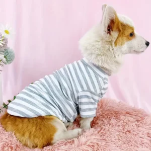 A Lightweight Pet T-Shirt