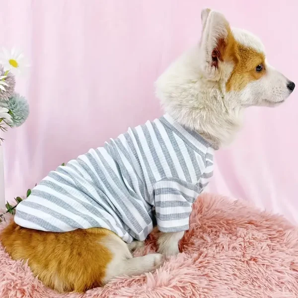 A Lightweight Pet T-Shirt