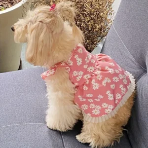 Summer Party Ready