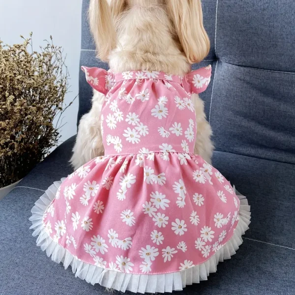 Summer Party Ready - Image 2