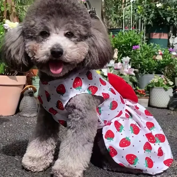 Adorable Strawberry Pattern Pet Dress - Image 5